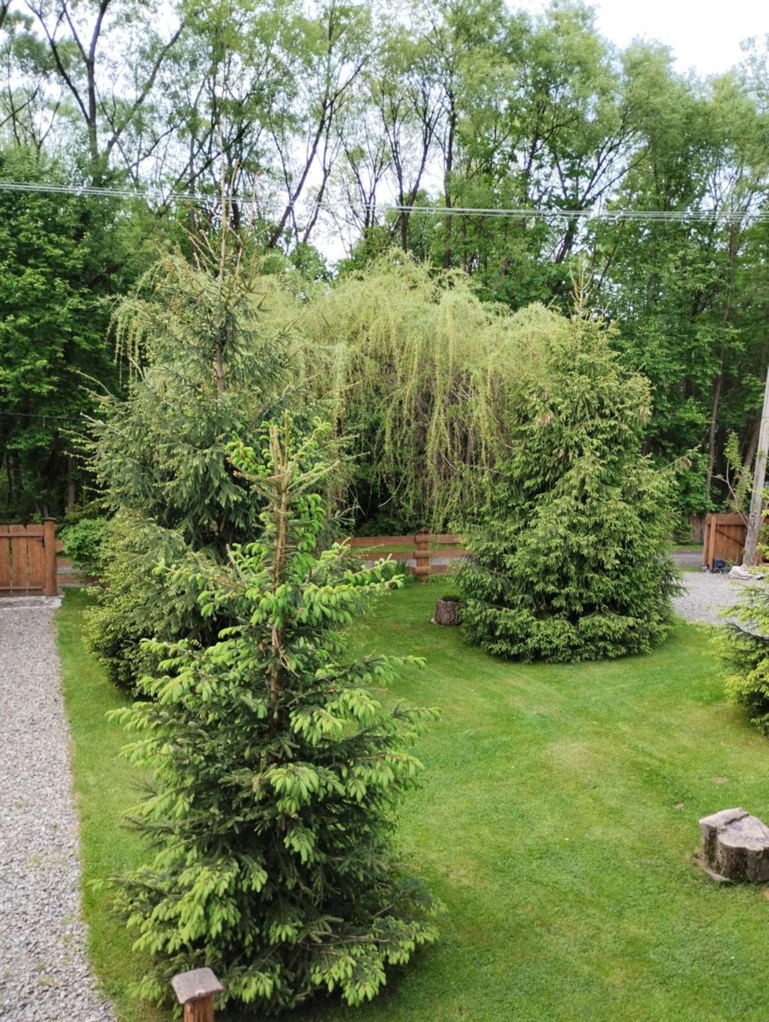 Apartament Nad Potokiem Wisla Exterior photo